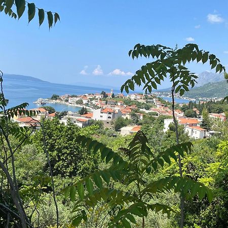 Apartment Davor Gradac  Exterior foto